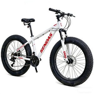 <span class=keywords><strong>Bicicleta</strong></span> de <span class=keywords><strong>Trekking</strong></span> Híbrida de Nieve de Aleación de Aluminio de 26 Pulgadas, Directo de Fábrica, con 24 Velocidades, Frenos de Disco y Horquilla de Acero para Uso Todoterreno - Product Image 6