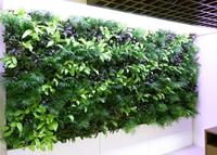 Mur de végétation artificielle verticale mur d'herbe fausse plante murale suspendue pour décoration intérieure/extérieure