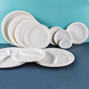 Disposable Dessert Plates Pie Food Plate In Spanish
