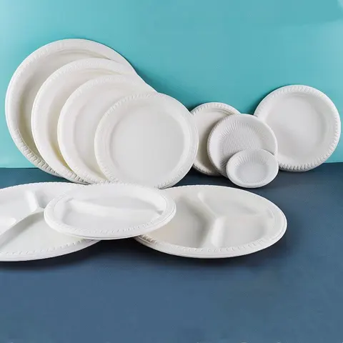 Square Disposable Plates White Plastic Sugar Cane Pulp