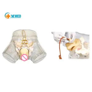 Medical Science Advanced Male Transparent Catheterization Model Nurse Training Factory Supply Simulator