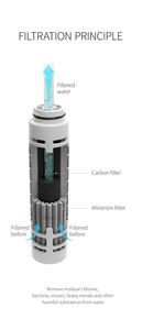 WAmax Nuovo Filtro Ahlstrom per Acqua di Sorgente, Bottiglia Filtrante in Acciaio Inox con Rimozione del 99,99% di Batteri e Virus - Product Image 5