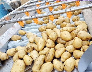 High Pressure Fruit Vegetable <b>Washing</b> <b>Machine</b> with Spray Brush Roller Cleaning 304 Stainless Steel 220/380V <b>LG</b>-BCL4000 Model - Product Image 1