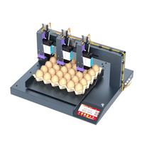 Imprimante jet d'encre 4 lignes XP600 600 DPI entièrement automatique pour le codage de la date des œufs avec encre comestible, garantie 1 an pour les fermes avicoles