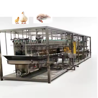 Petit équipement mobile complet d'abattage de volailles Ligne de purge automatique Abattoir de volailles