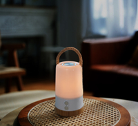 Lanterne LED RGB avec haut-parleur, son 360°, appairage TWS, 5200 mAh, Type-C, IP44, pour extérieur, intérieur, camping, décoration maison, corde de chanvre