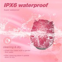 Valentinstag Geschenk Liebhaber Mini Klitoris-Sauger Rosenförmig USB Aufladbar IPX7 Wasserdicht 9 Frequenzen Vibrator Rot