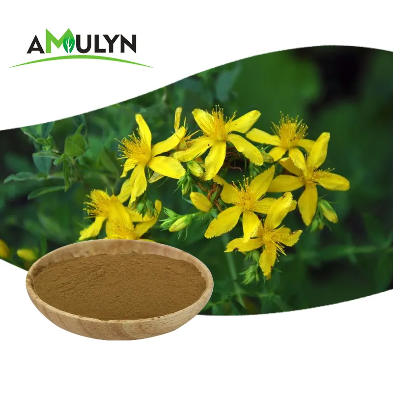 Extracto de Hypericum perforatumflower Hypericum perforatumextracto en polvo 0.3% hipericina