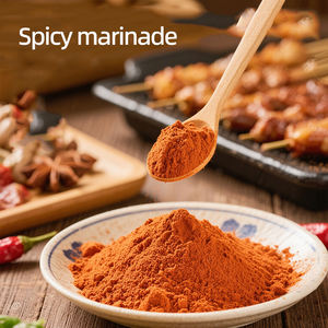 Condimento en polvo <span class=keywords><strong>para</strong></span> barbacoa natural de China Organic Dry Rub Mix <span class=keywords><strong>para</strong></span> carne asada y a la parrilla - Product Image 3