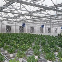 Serre multi-chapelles en polycarbonate Venlo, système de culture commercial avec panneaux PC pour la culture de légumes et de fleurs agricoles