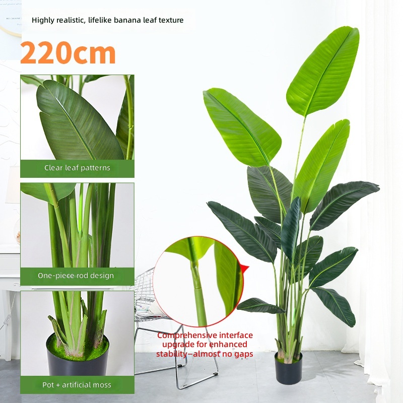 220cm high banana-12 leaves-black basin