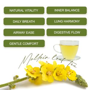 Té de Hoja de Gordolobo de Chinaherbs OEM, Mezcla Herbal Fresca con Sabor, Certificación ISO, Té Saludable en Bolsitas - Product Image 5