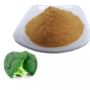 Food Grade Grondstoffen Sulforaphane Zaad Uitgedroogd Organische 10:1 20:1 Broccoli Spruit Extract