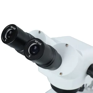 Microscopio da Laboratorio per Insegnamento e Manutenzione con Piastra di Lavoro Stereoscopica a Basso Spessore e Supporto Metallico - Product Image 3