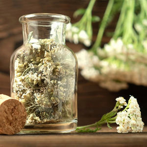 Kit de 8 tisanes fraîches avec pots de fleurs et jardinières - Product Image 5