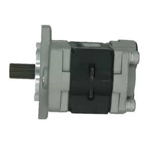 ปั๊มน้ำมัน gpy gpyz ชุด YPD1 YP10ปั๊มเกียร์ไฮดรอลิก YP20-3.5A2D2-R สูง - Product Image 3