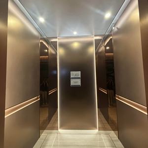 Proveedor Profesional con 12 Años de Experiencia en Ascensores Residenciales de Diseño Moderno Personalizados, con Accionamiento por Aire Acondicionado, para 3-5 Personas, para Casas Pequeñas y Villas - Product Image 2