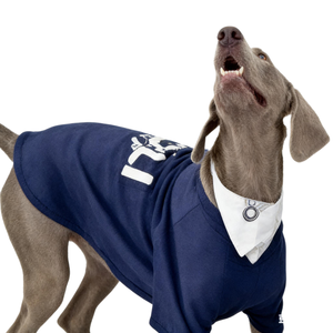 Nuevo Chaleco para Perro Marca Titancore, Corte Ajustado, Color Azul, Dos Patas, Ropa para Perro para Invierno Frío, Ropa de Senderismo para Perros Grandes - Product Image 5