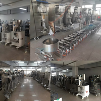 LKN-100 Electric Automatic Granule Weighing Packaging Machine for Food Chemical Applications