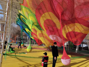 Pas cher Intérieur Creative Fourmi Cave Labyrinth Non-Standard Interactif Non Alimenté Escalade Corde Cours Parc D'attractions Rainbow Net - Product Image 5