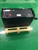 Batterie au lithium LiFePO4 12V 50Ah 100Ah pour système de stockage solaire prix d'usine