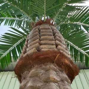 홈 실내 야외 녹지 장식 Plantas Palmeras 인공 야자수 인공 코코넛 나무 - Product Image 2