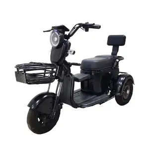 Putian Good Selling Easy To Ride Frozen Food Electric Transport Truck Recreational Tricycle With Cheap Shipping