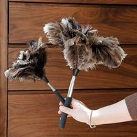 Plumeau à plumes d'autruche réutilisable à manche long de 120 cm, extensible, pour le nettoyage des ventilateurs, des lampes suspendues et la dépoussiérage domestique