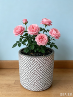 Jardinières en ciment à motif diamant - Pots de fleurs brillants pour la décoration intérieure (vente en gros)
