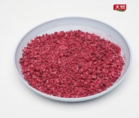 Groothandel FD Fruit Frambozenblokjes Zonder Toegevoegde Suiker Gezonde Snack in Bulk Vacuümverpakking Uit China
