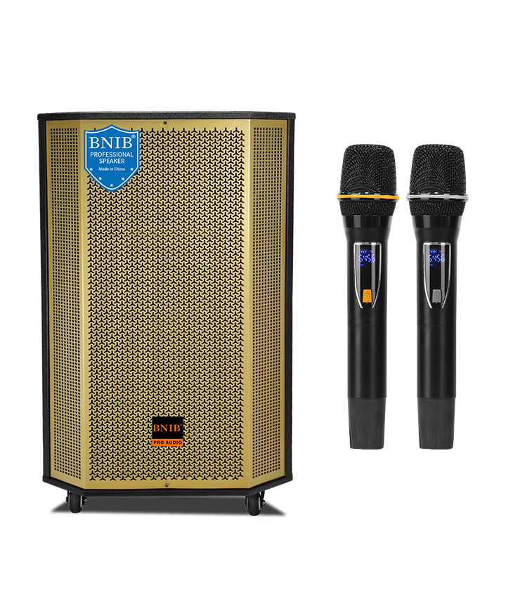 Новый 2022 заказах Bnib активный деревянные акустические системы 10 дюймов НЧ-динамик Высокочастотный динамик Динамик свет этапа беспроводной для вечеринки