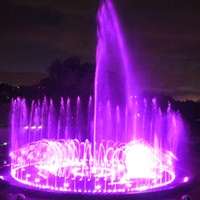 Fontaine musicale extérieure en acier inoxydable Optimum Show Dia 25 mètres avec lumières colorées à vendre