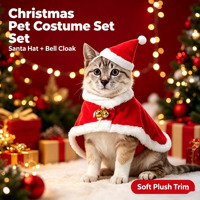 Chapeau de Père Noël pour chat et manteau chaud rouge, costume de Noël pour chats, chiots, lapins, poupées, ensemble Père Noël