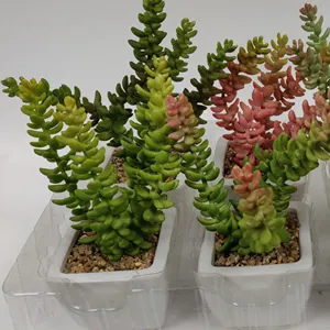 pflanzen live rose Suppliers-Faux kleine Plastik Bonsai Mini künstliche verschiedene Topf Sukkulenten Pflanzen