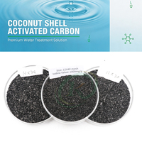 Charbon actif de coque de noix de coco à haute valeur d'iode pour la filtration de l'eau potable, élimination du chlore, charbon granulaire