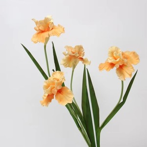 Vente en gros <span class=keywords><strong>Iris</strong></span> blanc <span class=keywords><strong>bleu</strong></span> violet fleurs artificielles mariage décoration de la maison vraie touche PU artificielle Alice <span class=keywords><strong>Iris</strong></span> fleurs - Product Image 5