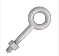 Premium Oval Eye Bolt Forged Steel Pole Line Hardware Premium Bolts