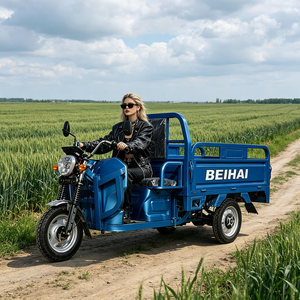 2026 BEIHAI Three Wheeled Supercar Cheap Mini 60V 2000W Scooter 3 Wheel <b>Passenger</b> Tricycles for Adults - Product Image 2