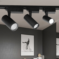 Projecteur LED sur rail OKELI 30W en aluminium, design moderne pour la maison et le bureau, promotion, tête mobile orientable, COB 10W 20W, éclairage sur rail