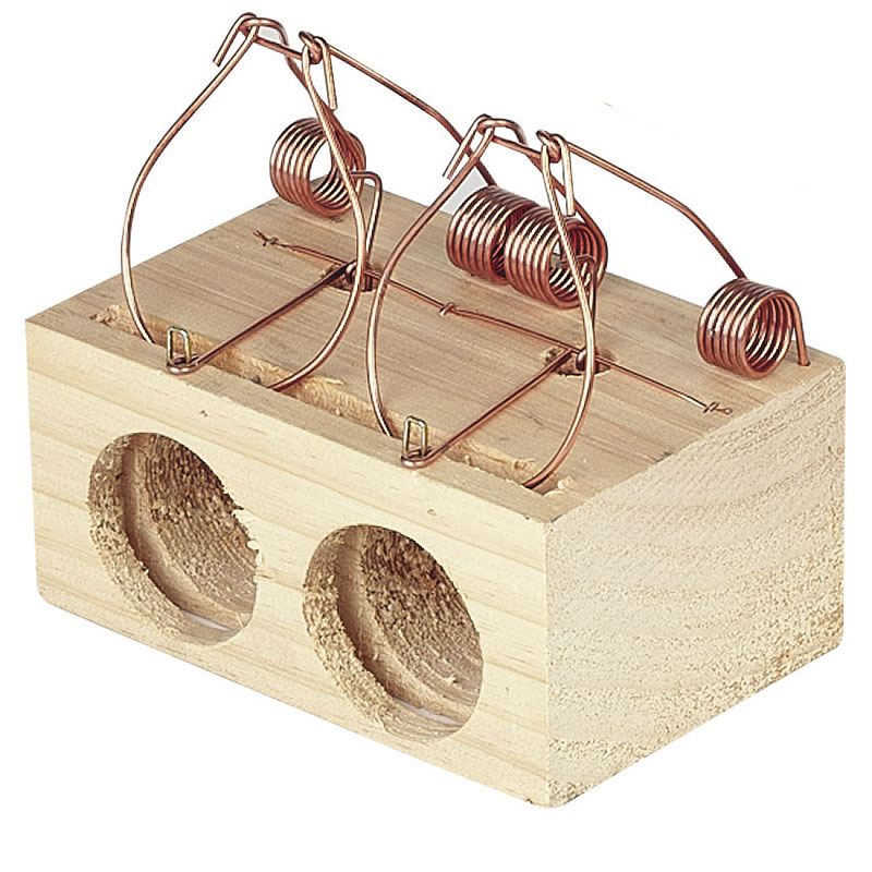 Contacta con nosotros