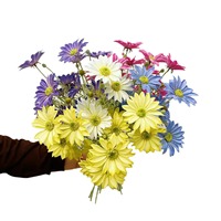 Cosmos artificiel, chrysanthème d'été multi-têtes 3D Touch, petite marguerite, fleur de cosmos, style champêtre, décoration de salon et de maison
