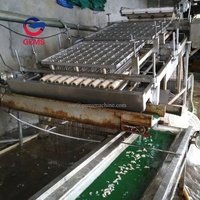Machine à décortiquer les crevettes, machine à décortiquer les crevettes, machine à éplucher les crevettes