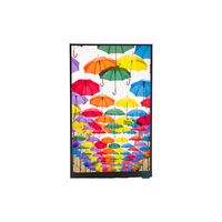 Module LCD TFT personnalisé de 7 pouces BSD070L1MB, écran extérieur de 2000 nits, panneau d'affichage Mipi 1080*1920, affichage vertical, 6,97 pouces, 6,97 pouces