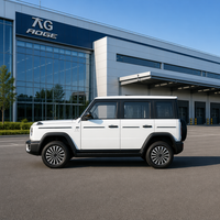 Fabricant chinois de mini-jeep électrique 4x4, petite voiture de tourisme écologique à émissions zéro pour les trajets de courte distance