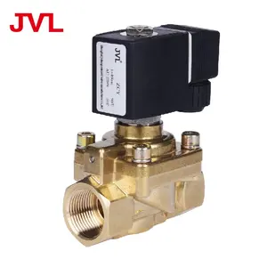 ZCY AC220V DC24V Brass Cng High Pressure Compressor Solenoid Valve