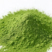 Capsules de café matcha pur de qualité supérieure compatibles avec Dolce Gusto, latte faible en calories, riches en antioxydants, approvisionnement en vrac directement de l'usine