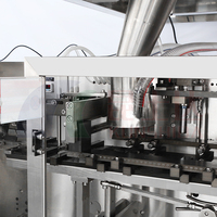 Machine d'emballage remplissante automatique de granule de casse-croûte de fruit, ligne de machine à emballer granulaire de sucre de sac de fruit séché de graine de tournesol