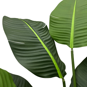 Nhà Máy Bán Buôn Nhân Tạo Du Lịch Chuối Giả Cây Cây Cây Cây Nhân Tạo Cho Văn Phòng Nhà Trang Trí Trong Nhà Cảnh - Product Image 5