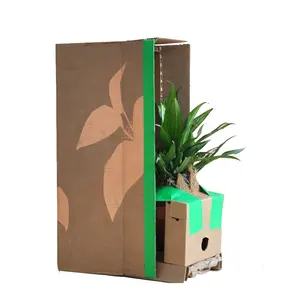 个性化定制环保瓦楞纸箱花盆包装装运箱