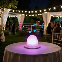 Lampe LED musicale d'extérieur, boule lumineuse audio, logo personnalisé pour patio, bord de piscine, restaurant, fête